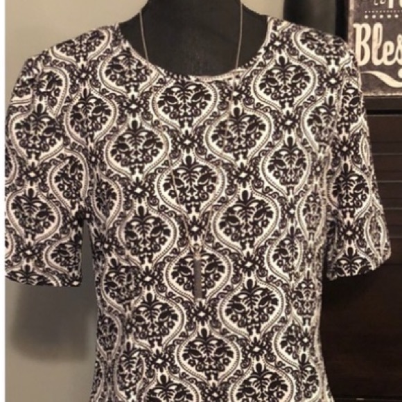 NEW•L•Stunning Damask Black/White Fit & Flare Dress - Picture 7 of 9